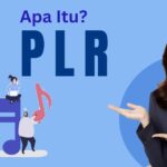 Apa Itu PLR